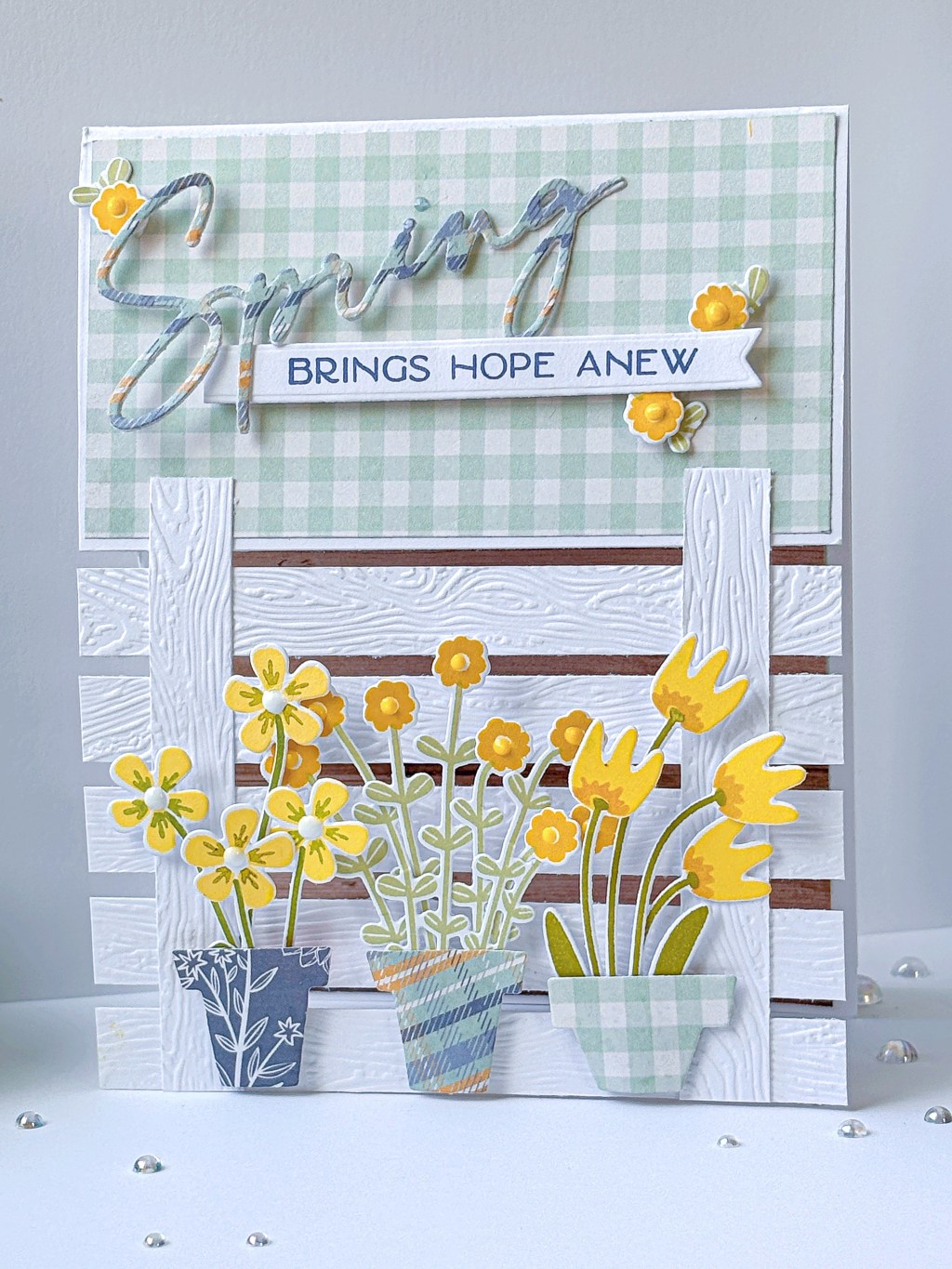 Flower Pots Along the Fence…with&nbsp;Kelly